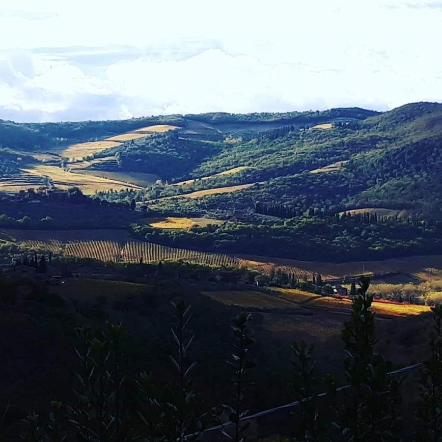Agriturismo Poggio All'Olmo Villa Greve in Chianti Exterior foto